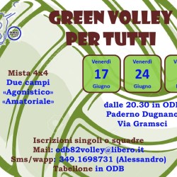 Volantino Green Volley